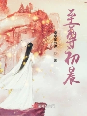 至尊无上电影