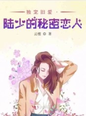 独宠旧爱小说正版